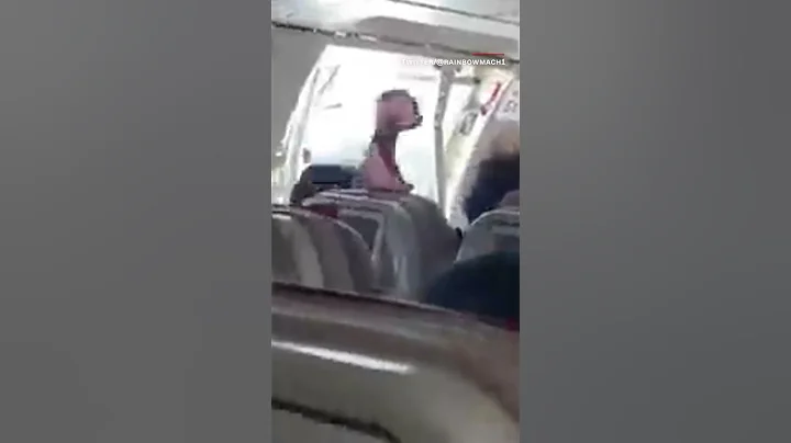 Passenger opens plane door mid-flight