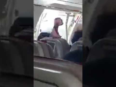 Passenger opens plane door mid-flight