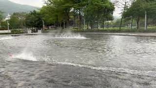 2023-0405 #3 hydro vs mono1 vs mono1 #rcboat 4K30