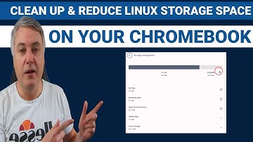 How to clean up and reduce Linux Storage space on your Chromebook