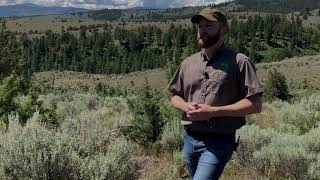ODFW Archery Deer Big Game Review Informational Video 2020