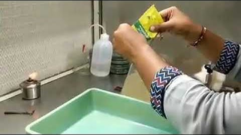 Trichoderma production  in lab | grafting garden