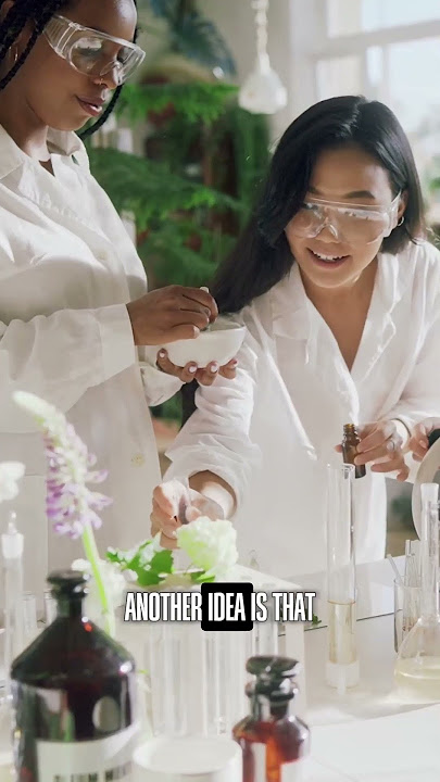 Have you heard about “Shy Trees”?