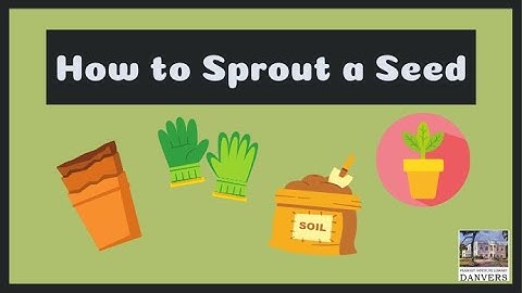 How to Sprout a Seed | Peabody Institute Library, Danvers [cc]