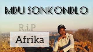Mdu Sonkondlo Rip Afrika