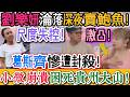 天塌了！劉樂妍淪落賣鮑魚！深夜尺度徹底失控！激凸！？配合擺姿勢！葛斯齊慘遭封殺！永難出鏡！想回台灣難如登天！太煎熬！小薇崩潰！困死貴州大山！哭喊想回台灣！嘴硬人設全崩塌！｜Reaction Video
