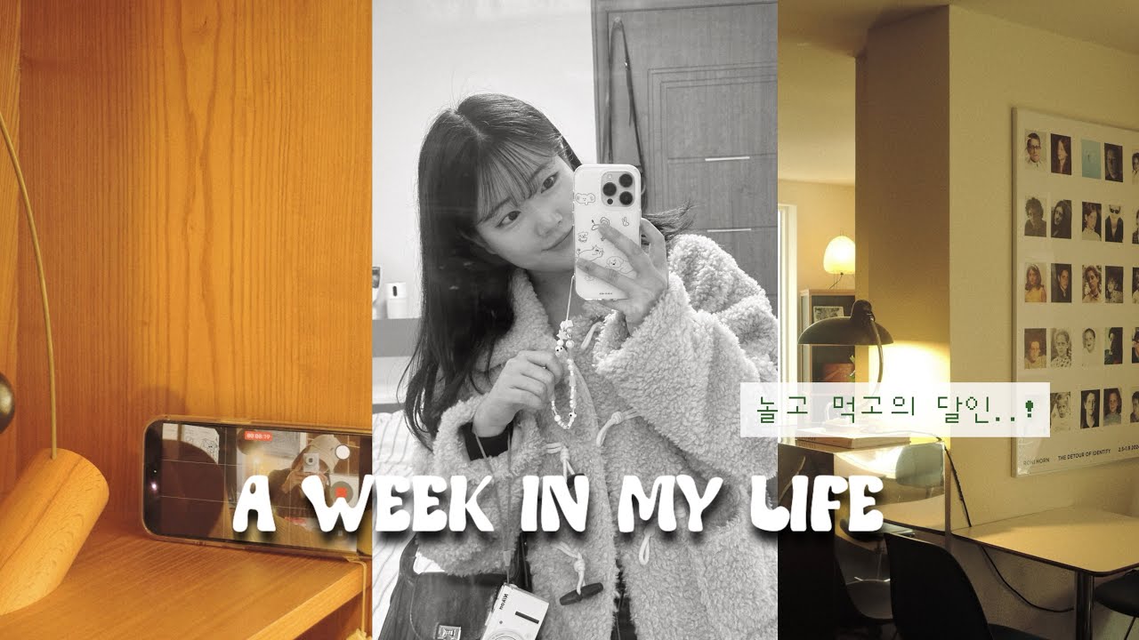 [ 일상 브이로그 ] 놀고 먹는 설 연휴 일상 모아 | 백수의 삶 | 연남동 카페 브라운하우스 | 휴민트 무대인사 | 박정민 배우님 실물 영접,, | 파주 맛집 추천 