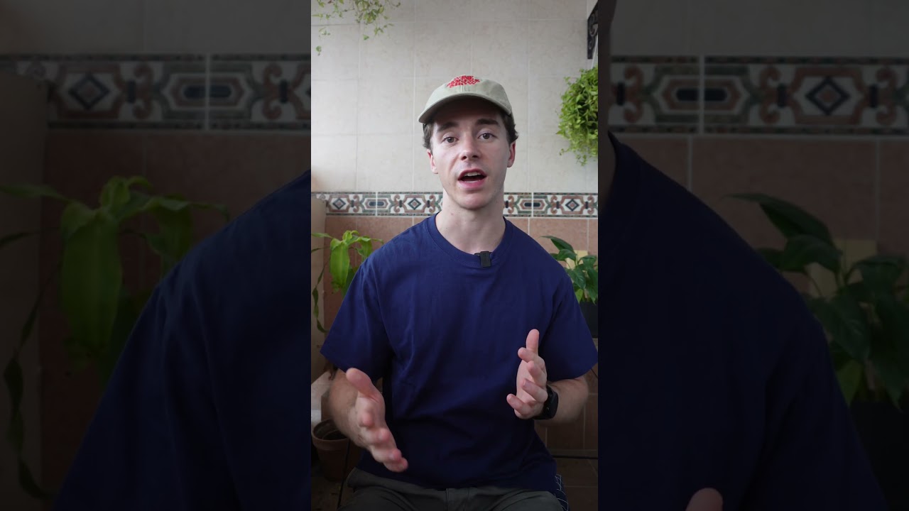 🍇 Wine in Asia: the growing powerhouse