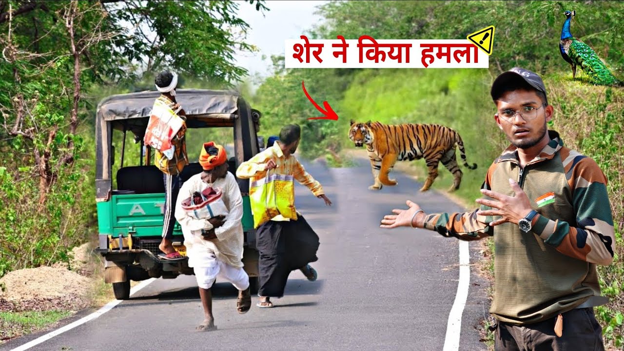 Jungle Mein Saamne Aa Gaya Asli Sher! | Real Lion Encounter