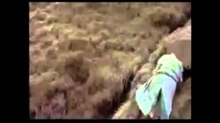 Watch Monty Python Run Away video