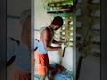 देसी हू देसी रूबब रखता हू(1)