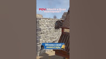 Mochi теперь в Rust/Раст #COBALTLAB — самый щедрый сайт #rust #раст #rustclips #rustshorts