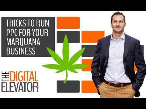 Tips & Tricks to Run PPC for Your Marijuana Business (on Google Ads)