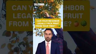 Can your neighbor legally pick fruit from your tree? @WestCoastTrialLawyersLA