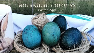 How To Natural Dye Easter Eggs With Red Cabbage Naturally Dyed Blue Easter Eggs Casacaribe