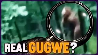 Real, Costume, or CGI? Breaking Down the ‘Dogman or Gugwe’ Video