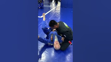 BICEP SLICERS FROM BOTTOM