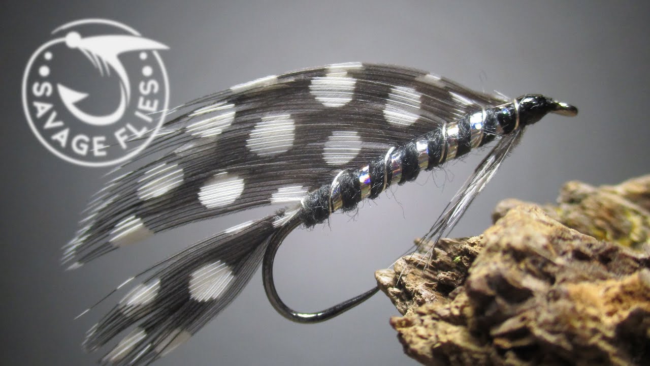 Another Matuka Streamer? (This one using guinea feathers.)