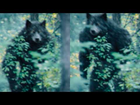 The Clearest DOGMAN Footage From 2026, Story Behind It Will Terrify You...  - YouTube