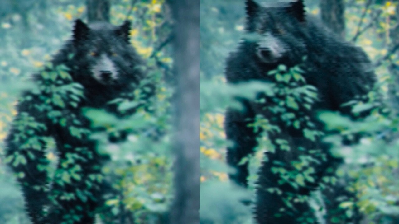 The Clearest DOGMAN Footage From 2026, Story Behind It Will Terrify You...