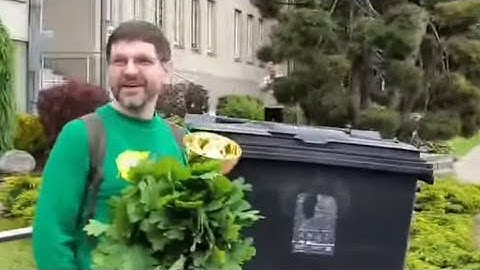 Celofanas Antanas Paleistas Iš Kalėjimo !