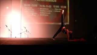 Apsu Night Market 2015