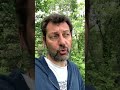 Capture de la vidéo Les Anecdotes Du Rock - The Clash Et Lee « Scratch » Perry …