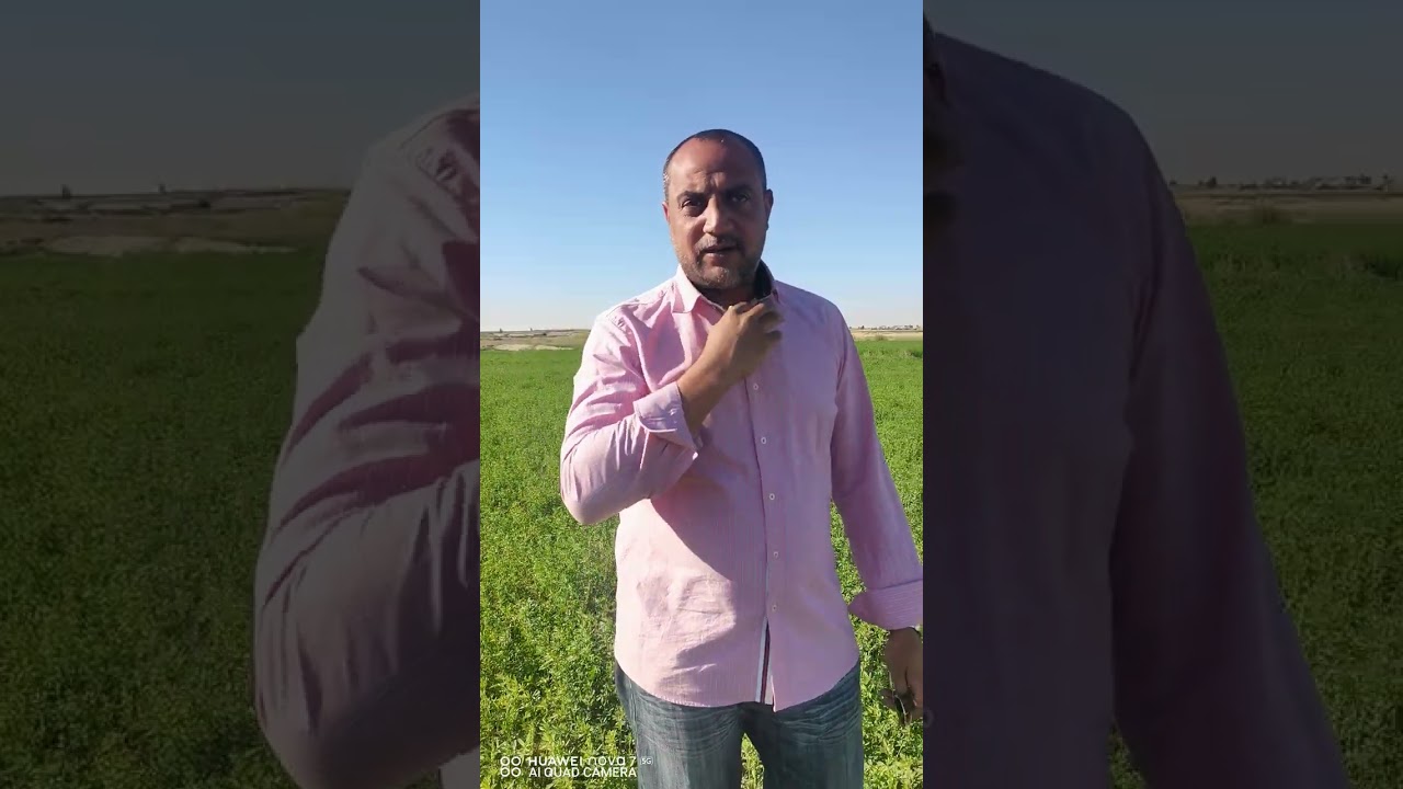 مزرعة ٢٥ فدان،عدد ٢ بير اعماق تقنين خالصه أقساط للتواصل 01033229010. 01555998814