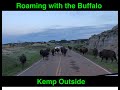 Roaming with the Buffalo at Theodore Roosevelt National Park