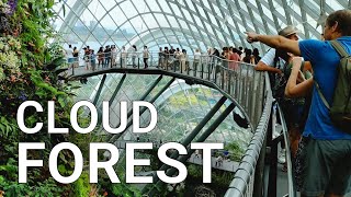 Cloud Forest and Flower Dome | What to do in Singapore