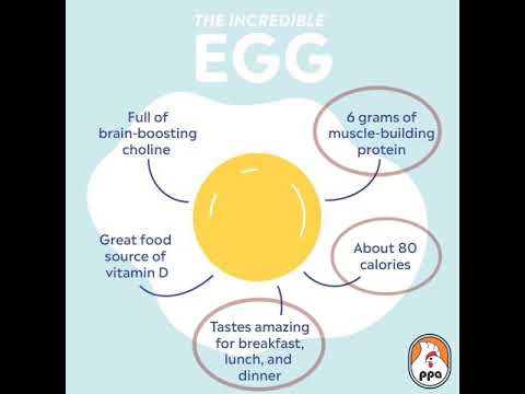 The Incredible EGG awareness raising