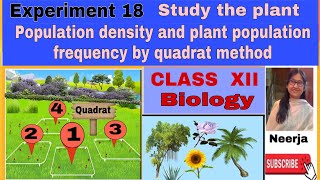 Study the plant population density and frequency by quadrat method/ Expt.18/Class12/Biology / Neerja