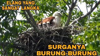 AKHIRNYA_YANG SELAMA INI KITA CARI