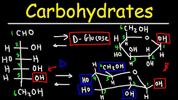 Carbohydrates - Haworth & Fischer Projections With Chair Conformations