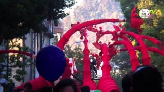 Jirafas se tomaron Plaza Italia y Parque Bustamante - Festival de Teatro Internacional (FITAM)