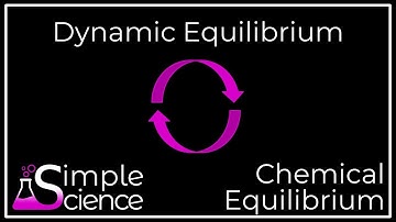 Dynamic Equilibrium