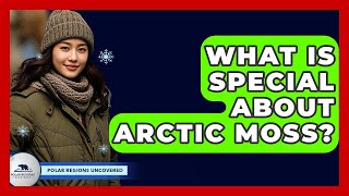 What Is Special About Arctic Moss? - Polar Regions Uncovered