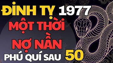 Tử Vi Đinh Tỵ 1977– Một Thời Nợ Nần, Sau Tuổi 50 Giàu Sang Phú Quý