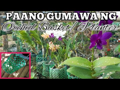 Video: Paano Gumawa Ng Mga Tela Ng Orchid