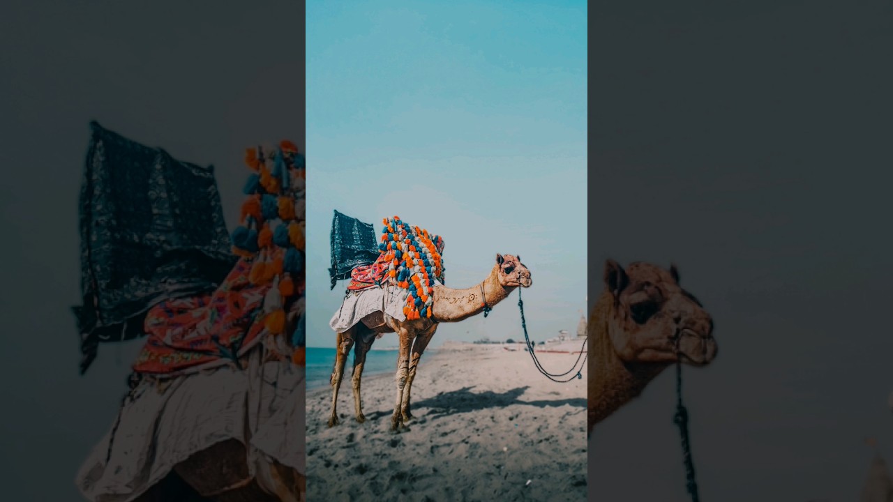 Mobile Photo editing and photography on beach 