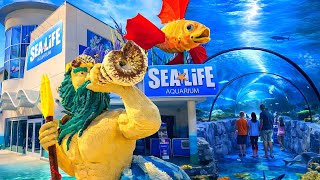 [NEW 2026] SEA LIFE Aquarium At Legoland CA - FULL Walkthrough - 4K POV