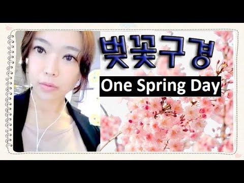 나홀로 벚꽃 구경 (※저화질/ENG) 🌸Spring Days
