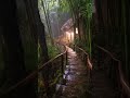 Heavy rain sound rain sound and relaxing 🎶🎶#rain #relxing #naturesounds #viralshots
