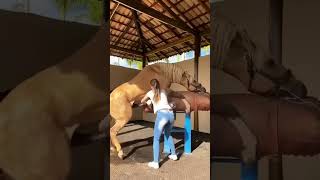 animal sex help girl #girl #viral #horse