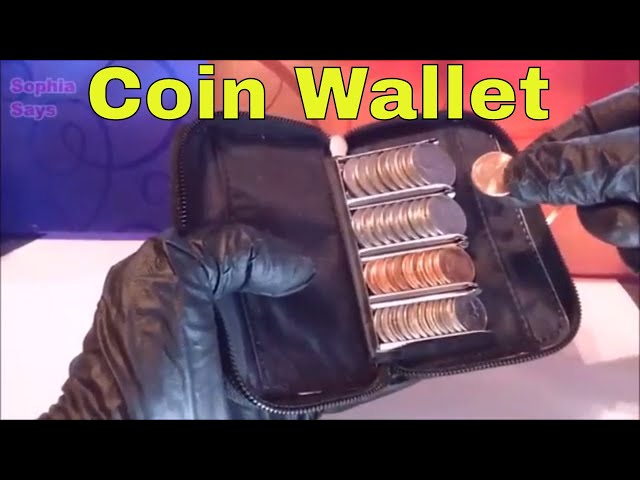 Buy Coin Purse Wallet With Coin Sorter – Quick Change On The Go – Trusty Coin  Pouch For Pocket or Purse Online at desertcartINDIA