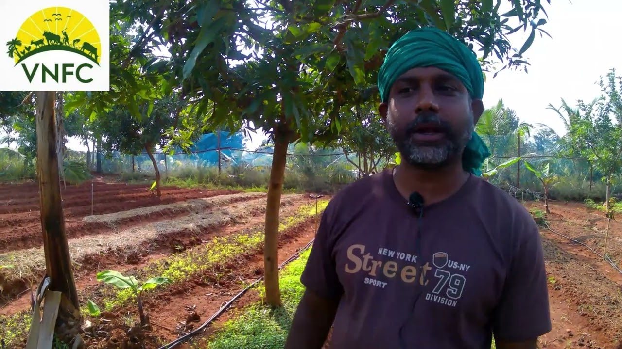 இயற்கை விவசாயத்தில் கீரை சாகுபடி