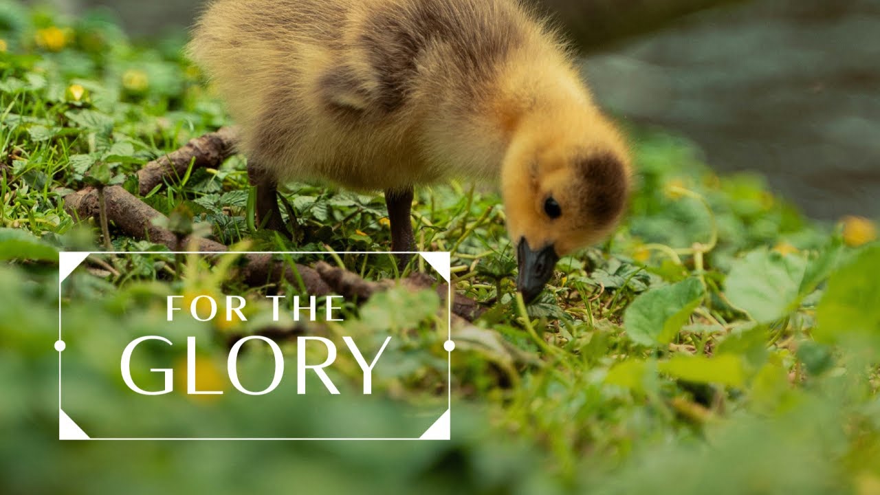 For the Glory - 09/21/2025 - UMC Juneau
