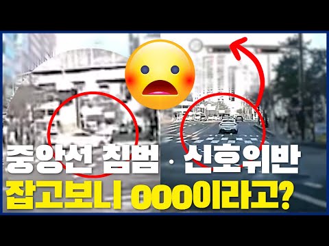 중앙선 침범·신호위반 잡고보니 000이라고?
