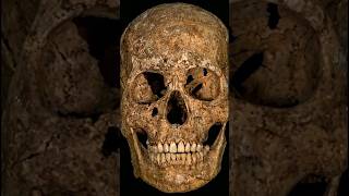 300 Years Later, We Know What He Actually Looked Like #history #facial