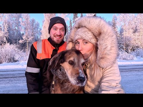 Winter is here | Life in the Swedish woods